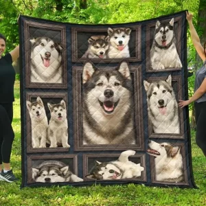 Alaskan Malamute Jfj Quilt Ki and Home Decor