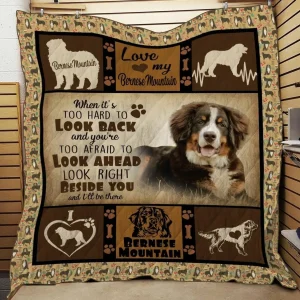 Bernese Jfj Quilt Ns and Home Decor