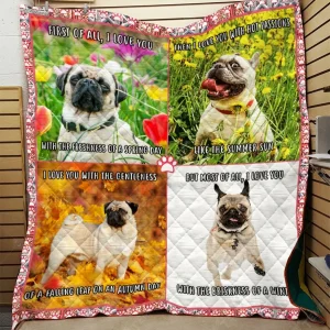 Blanket Dql-Qdd0034 Quilt and Home Decor