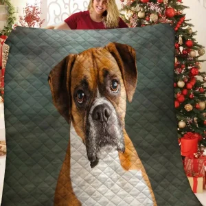 Boxer Jfj Quilt Ao and Home Decor