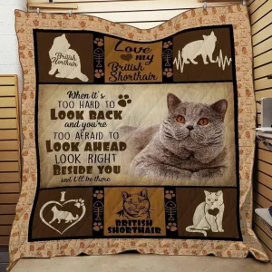 British Shorthair 3D Customized Quilt and Home Decor