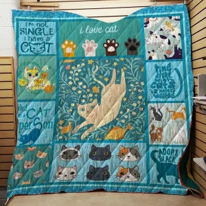 Cat Lover Quilt Pow and Home Decor