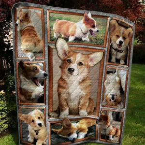 Corgi Td18110089 Quilt Blanket and Home Decor