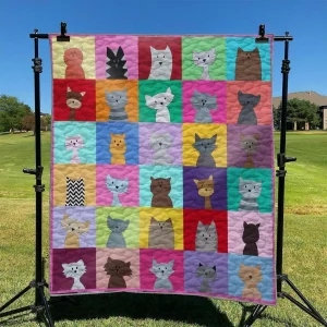 Cute Cat DHCLD0709 Quilt Blanket and Home Decor