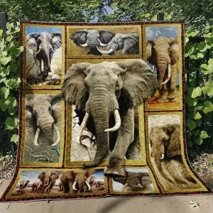 Elephant Hm080710 Quilt Blanket and Home Decor