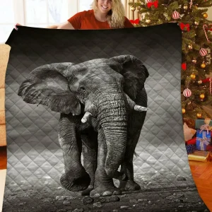 Elephant Quilt Kze and Home Decor