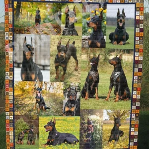 Fox Foxs In Love U Quilt Nw and Home Decor