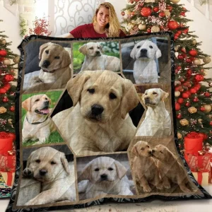 Labrador Retriever Hexa Vintage 3D Customized Quilt and Home Decor