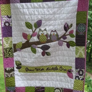 Owl Quilt Tdhft and Home Decor