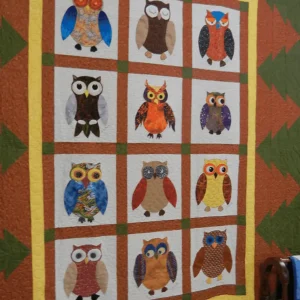 Owl Quilt Tdhve and Home Decor
