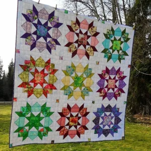 Pattern Ee Quilt Inkpme and Home Decor