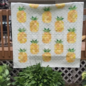 Pineapple Cla1110414Q Quilt Blanket and Home Decor