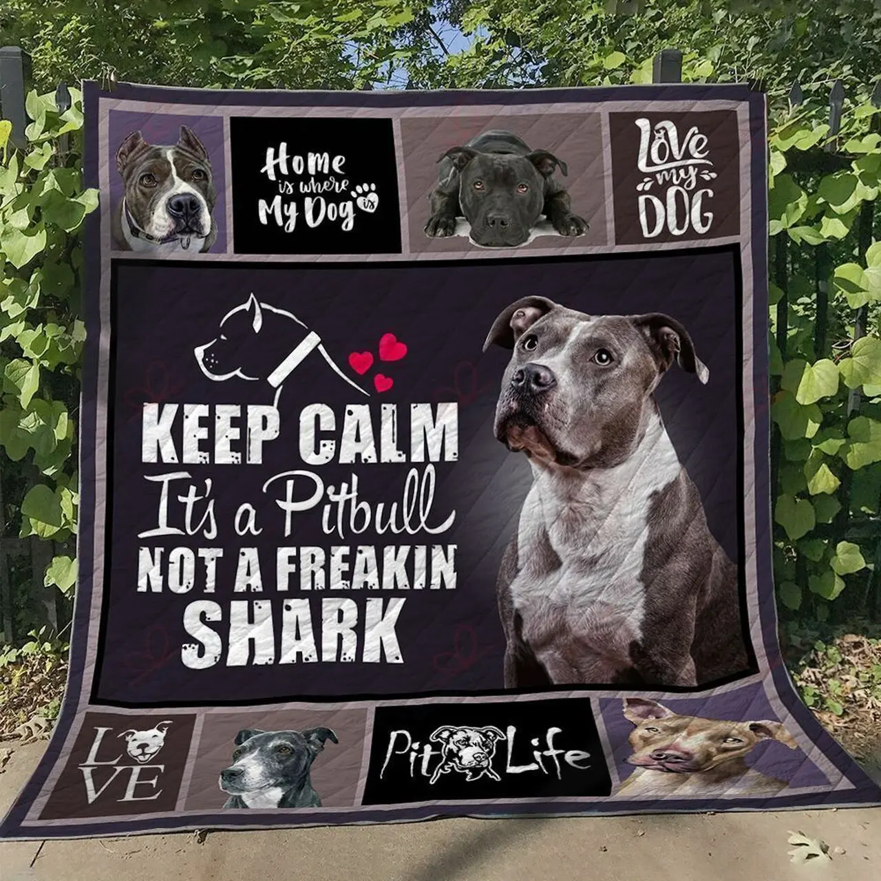 Pitbull TH2509440CL Quilt Blanket and Home Decor