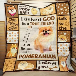 Pomeran Quilt Tdhqo and Home Decor