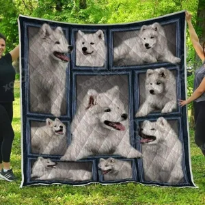 Samoyed Quilt 2 Quilt and Home Decor