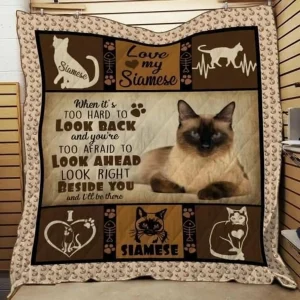Siamese Quilt Tdhmb and Home Decor