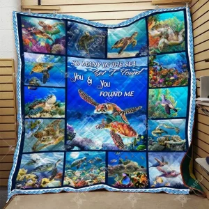 Turtle Quilt Cmm and Home Decor