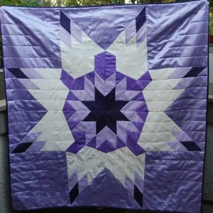 Turtle Star Cla1510476Q Quilt Blanket and Home Decor