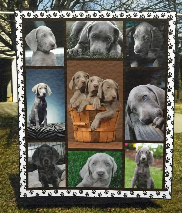 Weimaraner Cute Weimaraner Quilt Vsc and Home Decor